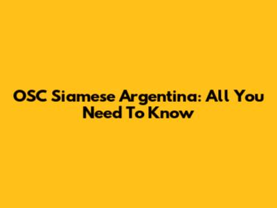 OSC Siamese Argentina: All You Need To Know