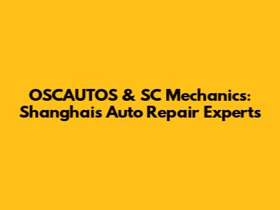 OSCAUTOS & SC Mechanics: Shanghai's Auto Repair Experts