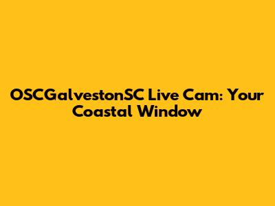 OSCGalvestonSC Live Cam: Your Coastal Window