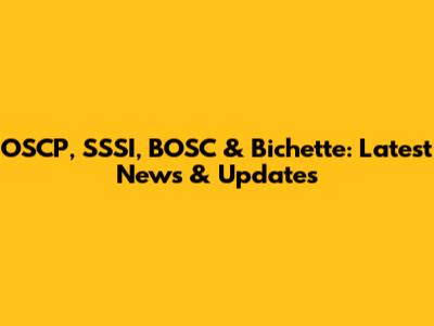 OSCP, SSSI, BOSC & Bichette: Latest News & Updates