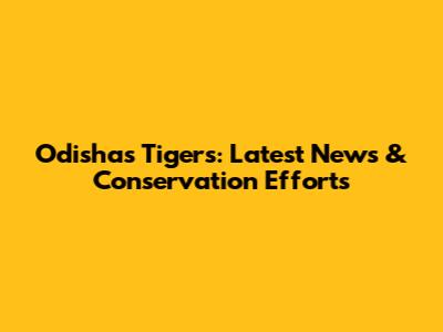 Odisha's Tigers: Latest News & Conservation Efforts