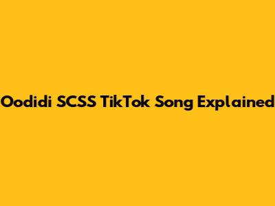 Oodidi SCSS TikTok Song Explained