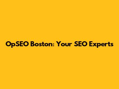 OpSEO Boston: Your SEO Experts