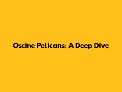 Oscine Pelicans: A Deep Dive