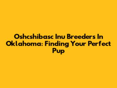 Oshcshibasc Inu Breeders In Oklahoma: Finding Your Perfect Pup