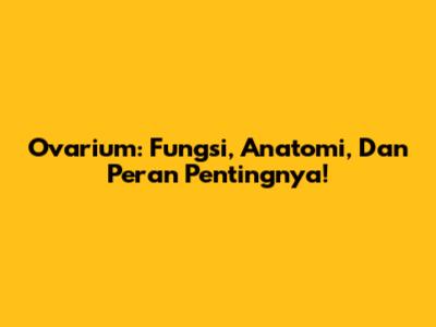 Ovarium: Fungsi, Anatomi, Dan Peran Pentingnya!