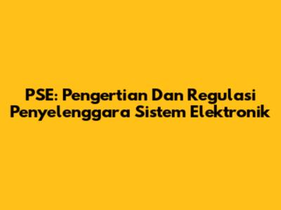 PSE: Pengertian Dan Regulasi Penyelenggara Sistem Elektronik