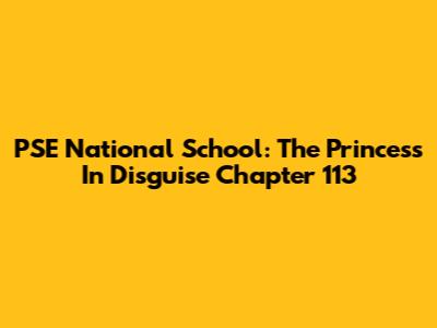 PSE National School: The Princess In Disguise Chapter 113