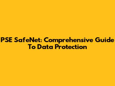 PSE SafeNet: Comprehensive Guide To Data Protection
