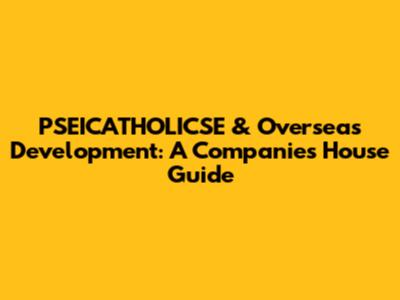 PSEICATHOLICSE & Overseas Development: A Companies House Guide