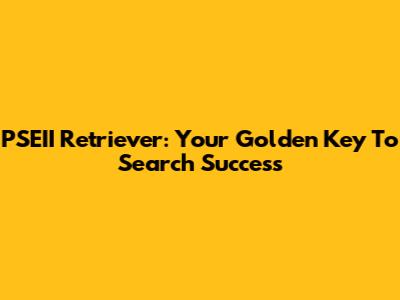PSEII Retriever: Your Golden Key To Search Success