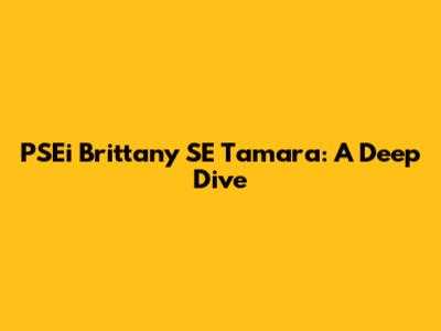 PSEi Brittany SE Tamara: A Deep Dive