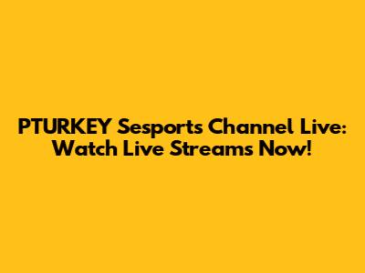 PTURKEY Sesports Channel Live: Watch Live Streams Now!