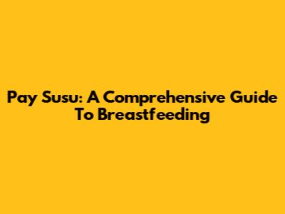 Pay Susu: A Comprehensive Guide To Breastfeeding