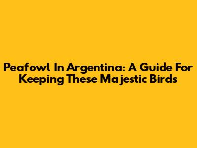 Peafowl In Argentina: A Guide For Keeping These Majestic Birds