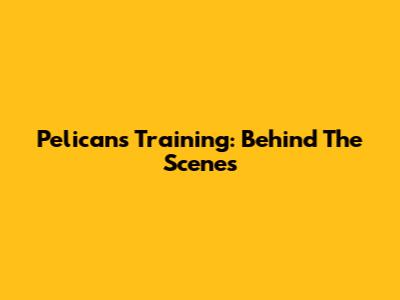 Pelicans Training: Behind The Scenes