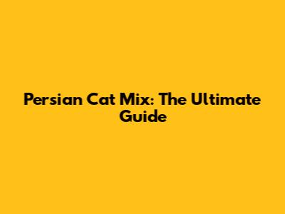Persian Cat Mix: The Ultimate Guide