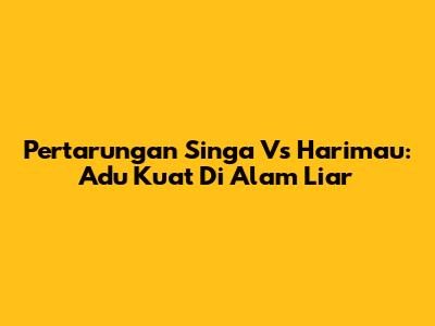 Pertarungan Singa Vs Harimau: Adu Kuat Di Alam Liar