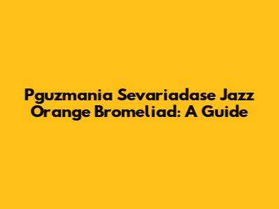 Pguzmania Sevariadase Jazz Orange Bromeliad: A Guide
