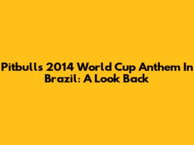 Pitbull's 2014 World Cup Anthem In Brazil: A Look Back