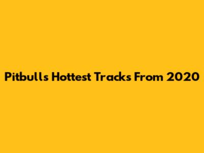 Pitbull's Hottest Tracks From 2020