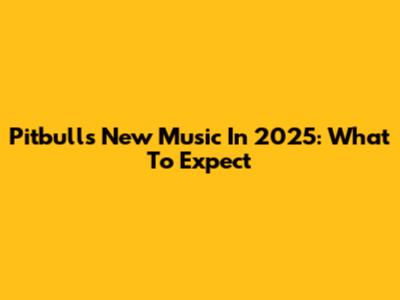 Pitbull's New Music In 2025: What To Expect