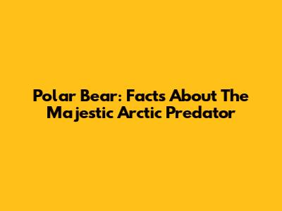 Polar Bear: Facts About The Majestic Arctic Predator