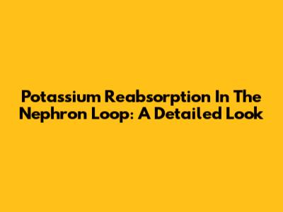 Potassium Reabsorption In The Nephron Loop: A Detailed Look