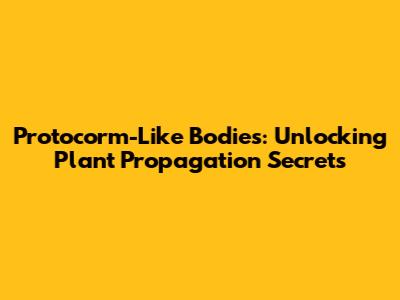 Protocorm-Like Bodies: Unlocking Plant Propagation Secrets