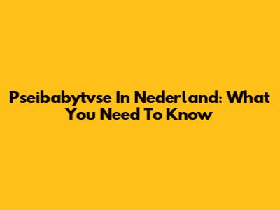 Pseibabytvse In Nederland: What You Need To Know