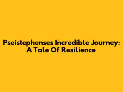 Pseistephense's Incredible Journey: A Tale Of Resilience