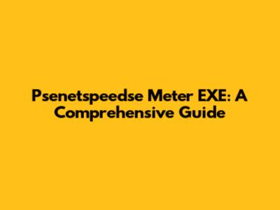 Psenetspeedse Meter EXE: A Comprehensive Guide