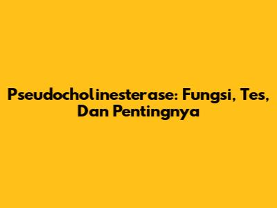 Pseudocholinesterase: Fungsi, Tes, Dan Pentingnya