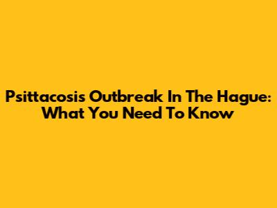 Psittacosis Outbreak In The Hague: What You Need To Know