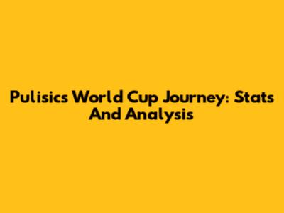 Pulisic's World Cup Journey: Stats And Analysis