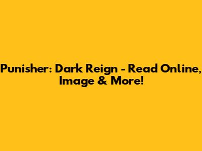 Punisher: Dark Reign - Read Online, Image & More!