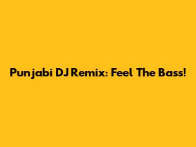 Punjabi DJ Remix: Feel The Bass!