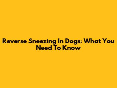 Reverse Sneezing In Dogs: What You Need To Know