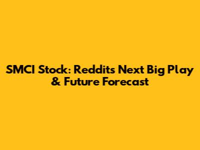 SMCI Stock: Reddit's Next Big Play & Future Forecast
