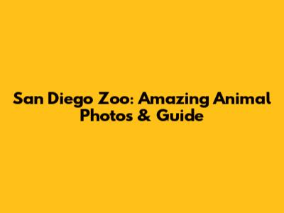 San Diego Zoo: Amazing Animal Photos & Guide