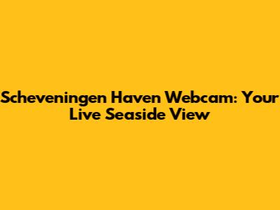 Scheveningen Haven Webcam: Your Live Seaside View