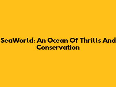 SeaWorld: An Ocean Of Thrills And Conservation