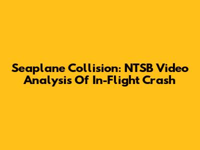 Seaplane Collision: NTSB Video Analysis Of In-Flight Crash