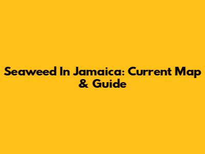 Seaweed In Jamaica: Current Map & Guide