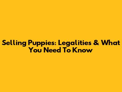 Selling Puppies: Legalities & What You Need To Know