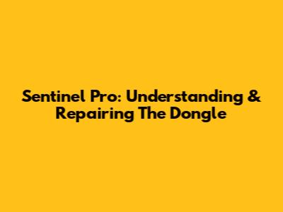 Sentinel Pro: Understanding & Repairing The Dongle