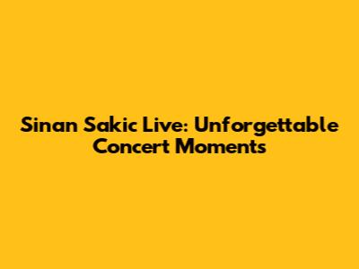 Sinan Sakic Live: Unforgettable Concert Moments
