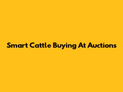 Smart Cattle Buying At Auctions