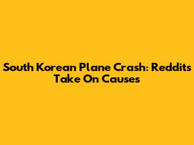 South Korean Plane Crash: Reddit's Take On Causes