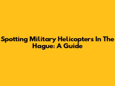 Spotting Military Helicopters In The Hague: A Guide
